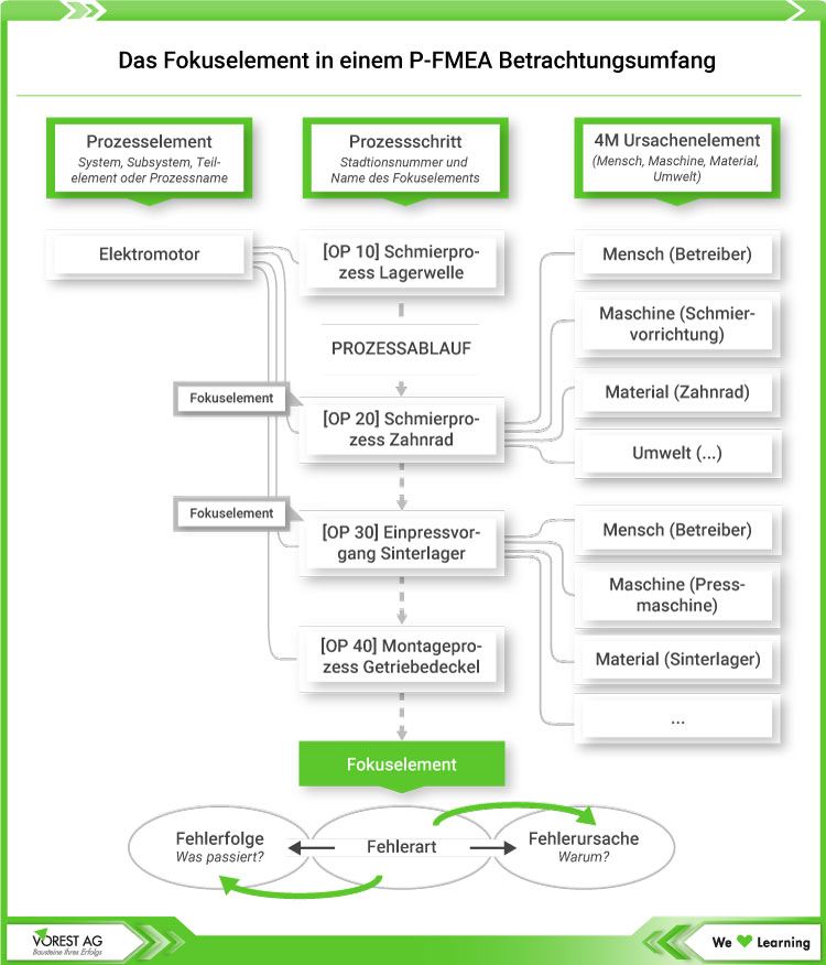 Das Fokuselement in einem P-FMEA Betrachtungsumfang