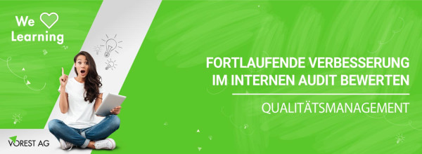 fortlaufende-verbesserung-auditieren