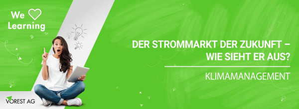 strommarkt-der-zukunft