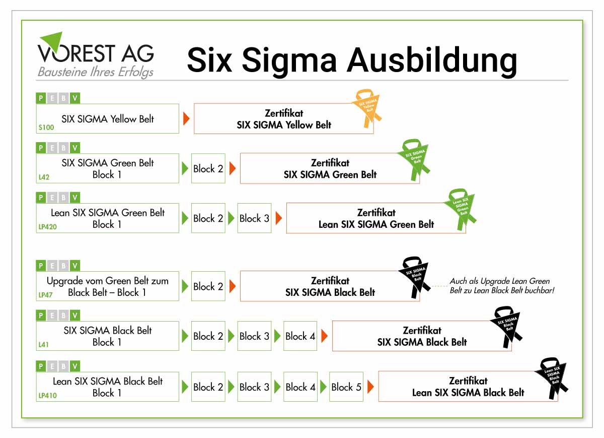 Six Sigma Ausbildung der VOREST AG