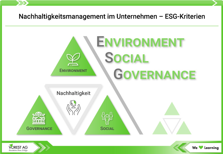 Nachhaltigkeitsmanagement - ESG-Kriterien der Nachhaltigkeit