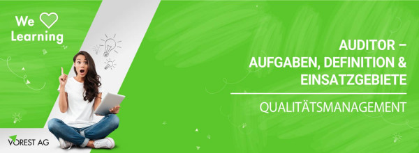 auditor-aufgaben