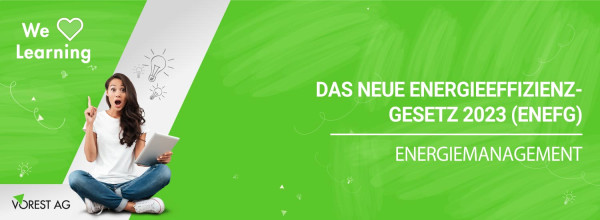 energieeffizienzgesetz-enefg